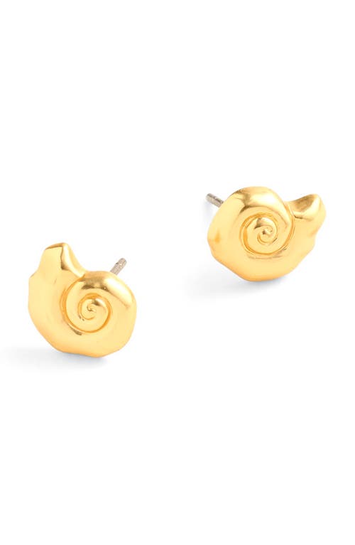 Nautilus Stud Earrings in Vintage Gold