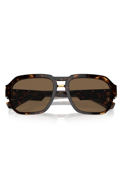 Dolce & Gabbana 56mm Pilot Sunglasses in Havana at Nordstrom