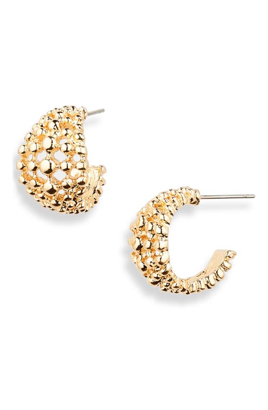 Shop Nordstrom Rack Gradient Dot Hoop Earrings In Gold