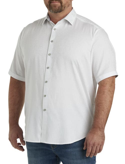 Shop Robert Graham Dxl Robert Graham Luther Sport Shirt In White