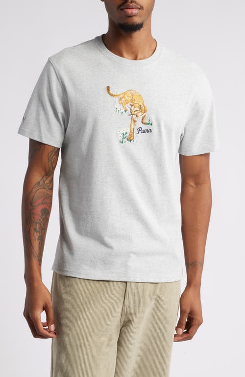 Puma X Noah Cotton Graphic T-shirt In Light Gray Heather