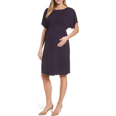 Isabella Oliver Leila Maternity Dress