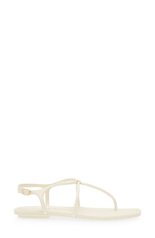 Shop Stuart Weitzman Matilda Sandal In Seashell