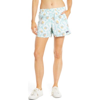 Patagonia Baggies Water Repellent Shorts, Blue