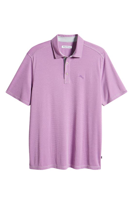 Shop Tommy Bahama Paradiso Cove Stripe Polo In Summer Plum