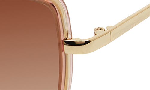 Isaac Mizrahi New York 55mm Square Sunglasses In Brown