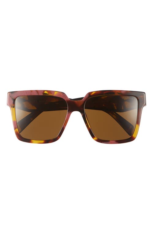 Prada 56mm Square Sunglasses in Brown at Nordstrom