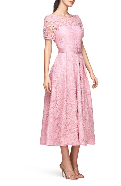 KAY UNGER KAY UNGER HAISLEY BELTED LACE COCKTAIL DRESS 