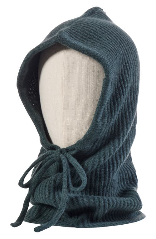 Amicale Cashmere Rib Knit Hood In Spruce