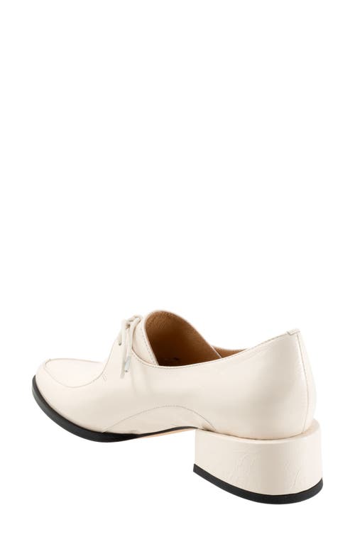 Shop Eos Footwear Casi Derby In Bone Patent