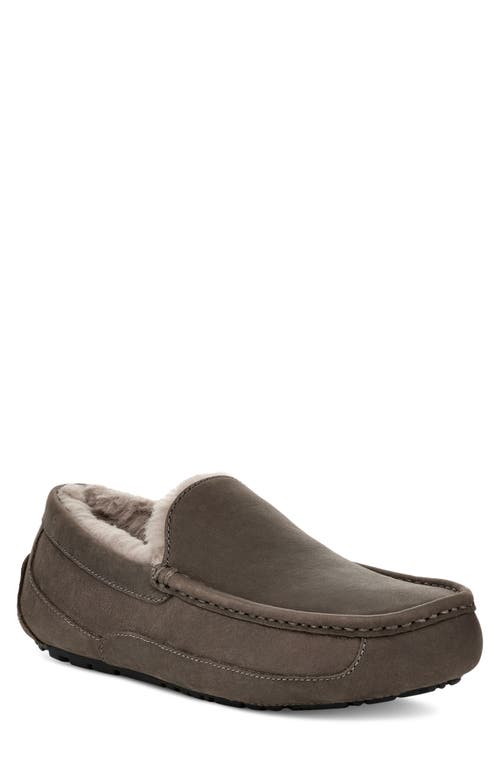 Shop Ugg(r) Ascot Slipper In Thunder Cloud