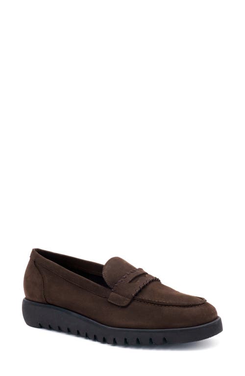 Shop Amalfi By Rangoni Eolo Platform Penny Loafer In T Moro Long Beach