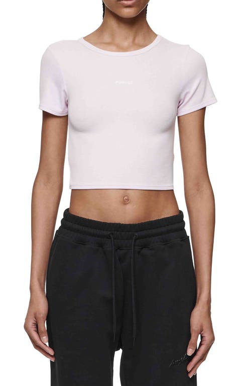 PURPLE BRAND Logo Rib Crop Baby Tee at Nordstrom,