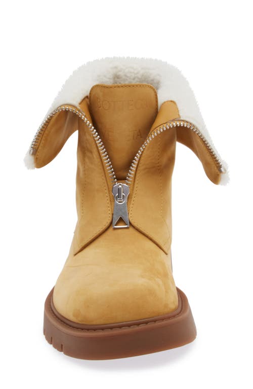 Shop Bottega Veneta Haddock Lug Sole Genuine Shearling Lined Boot In Ochre/popcorn