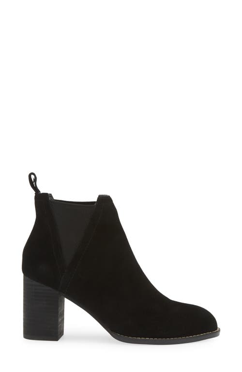 Chocolat Blu Axa Chelsea Boot In Black Suede