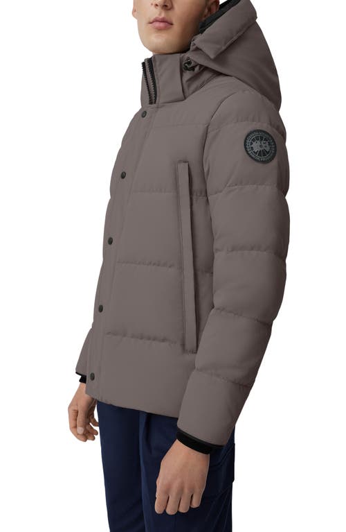 Shop Canada Goose Wyndham Parka Black Label 625 Fill Power Down Parka In Coastal Grey-gris