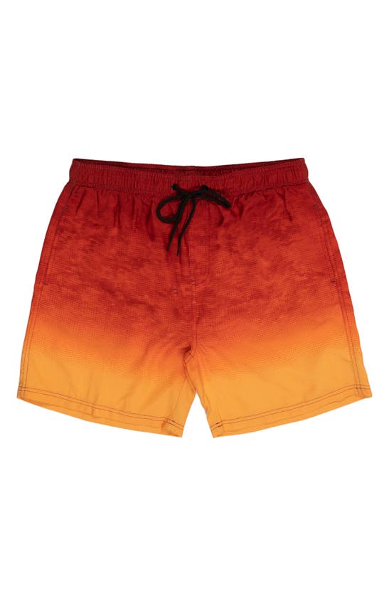 Shop Burnside 17" Swim Trunks In Orange