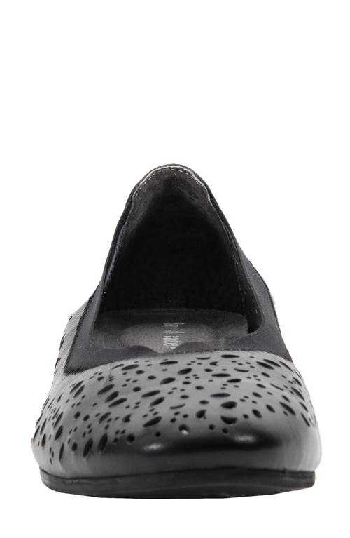 David Tate Laser Cut Ballet Flat In Black Calf