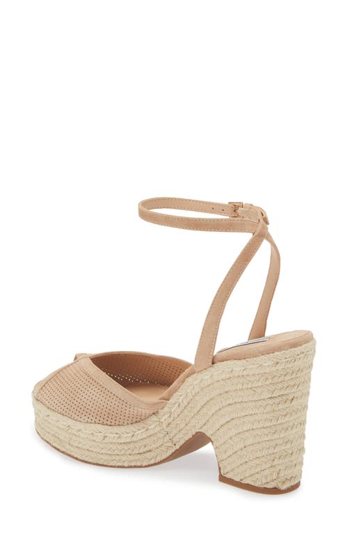 Shop Steve Madden Sydnee Espadrille Ankle Strap Sandal In Tan Suede