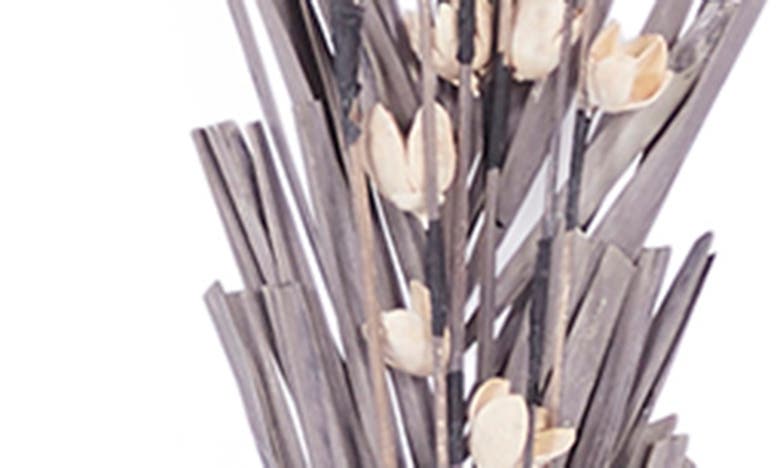 SONOMA SAGE HOME SONOMA SAGE HOME BROWN DRIED PLANT PIGEON PEA NATURAL FOLIAGE