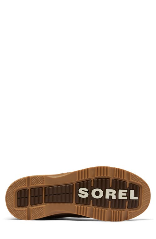 Shop Sorel Ankeny Ii Waterproof Hiking Boot In Velvet Tan/tobacco