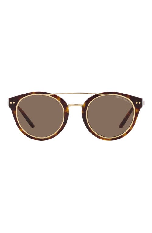 Shop Ralph Lauren 49mm Round Sunglasses In Dark Havana/brown