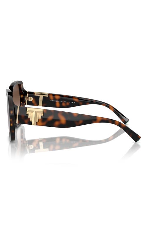 Tiffany & Co . 129mm Gradient Pillow Sunglasses In Havana