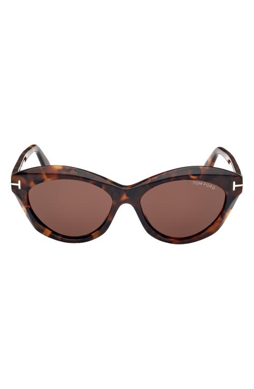 Shop Tom Ford Toni 55mm Oval Sunglasses In Shiny Dark Havana/brown