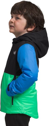 The North Face Kid's Freedom Insulated Jacket - Chlorophyll Green  (NF0A82YJ-8YK) • Price »