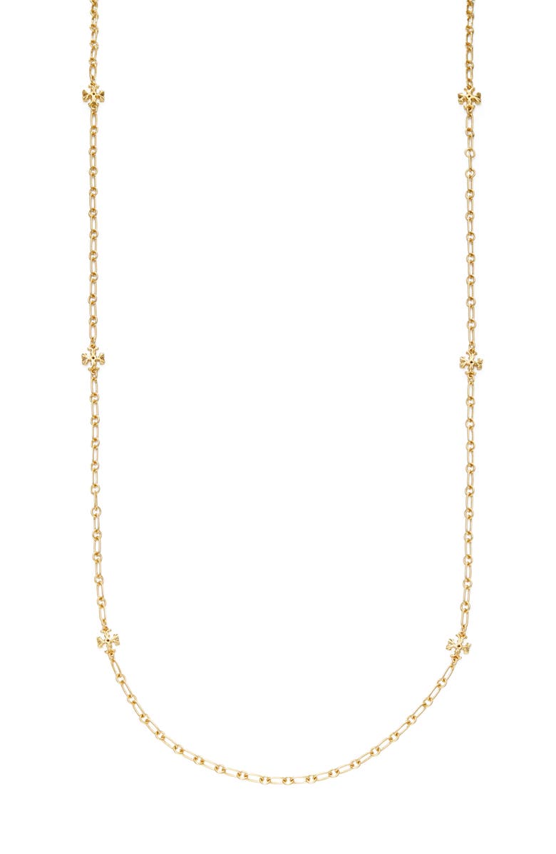 Roxanne Long Chain Necklace