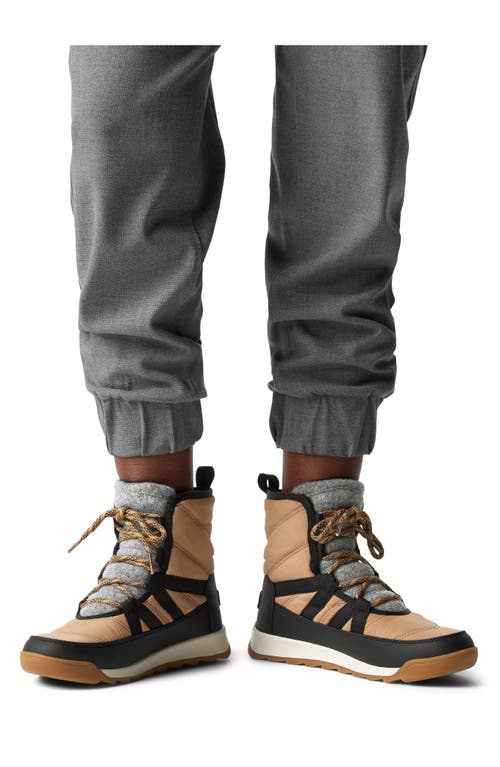 Sorel Whitney Ii Waterproof Snow Boot In Tawny Buff/black