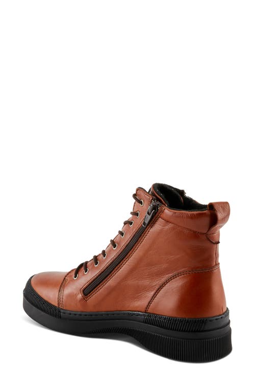 Shop Spring Step Hoylein Combat Boot In Cognac