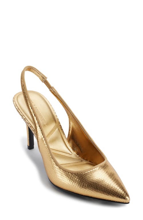 Shop Karl Lagerfeld Paris Rosalyn Snakeskin Embossed Pointed Toe Pump In Gold