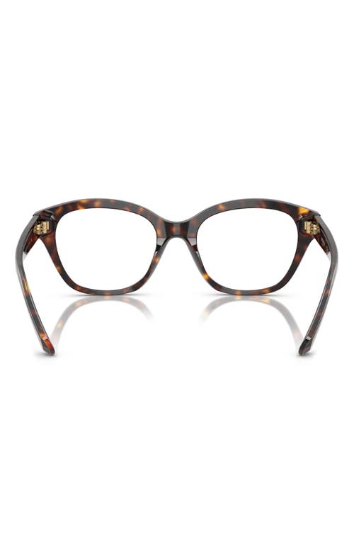 Swarovski 53mm Pillow Optical Glasses In Havana