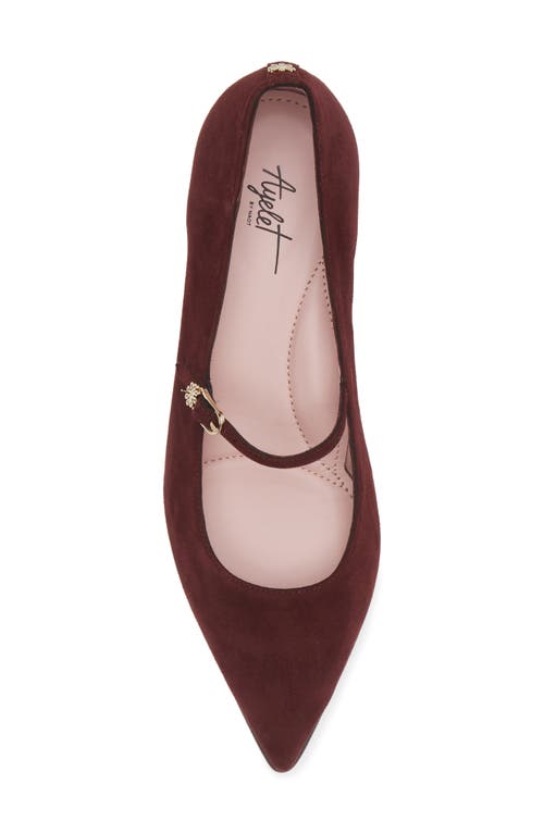 Shop Naot Rosalie Pointed Toe Pump In Burgundy Suede