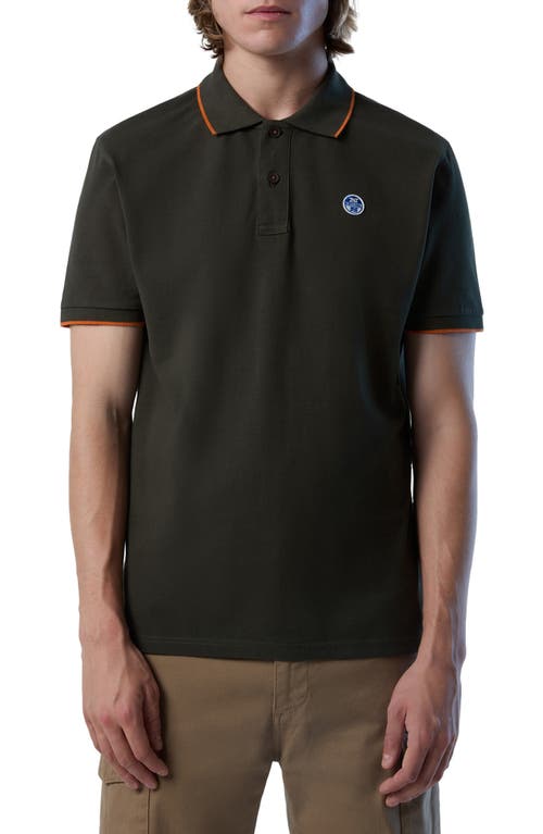 Tipped Logo Embroidered Cotton Piqué Polo in Forest Night