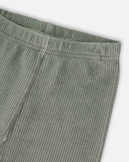 Shop Deux Par Deux Little Girl's Velvet Stretch Leggings Sage Green In Jadeite