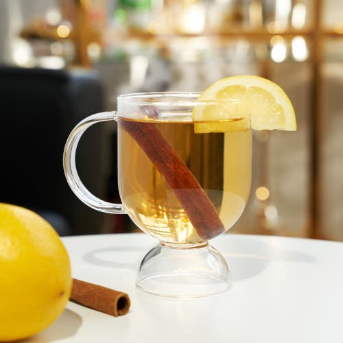 Viski Raye Hot Toddy Glasses Set Of 2 In Clear