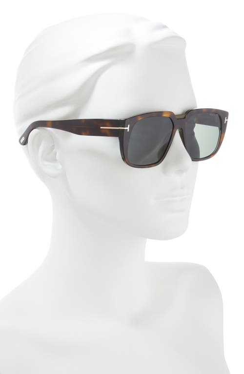 Tom Ford 56mm Square Sunglasses In Havana/green
