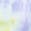 selected Bright Mango/ Purple Pulse color
