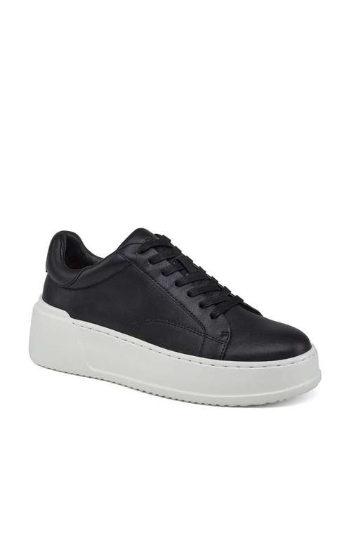Jslides Footwear Jo Sneaker In Black
