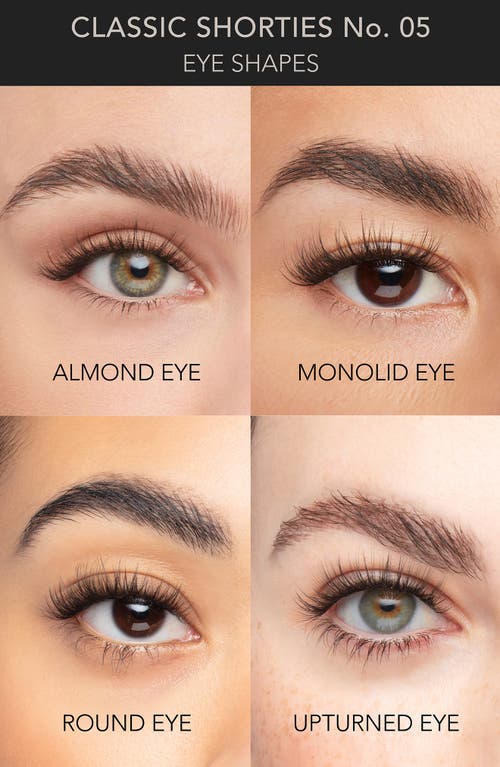 Pro Lash Single False Lash Set In Classic Shorties No. 05