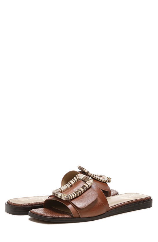 Sam Edelman Inez Slide Sandal In Brown ModeSens