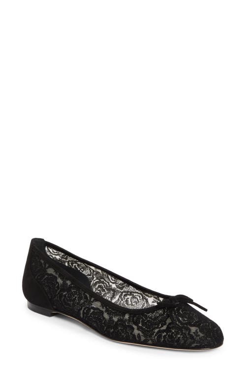 Shop Manolo Blahnik Verizzo Lace Ballet Flat In Black