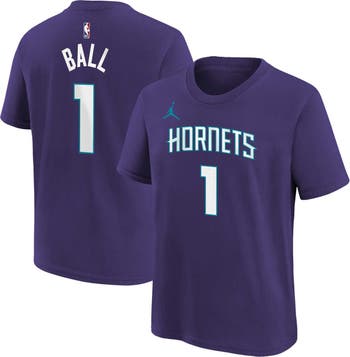 Purple and Teal Color Palette to Re-Join Hornets Name in Charlotte