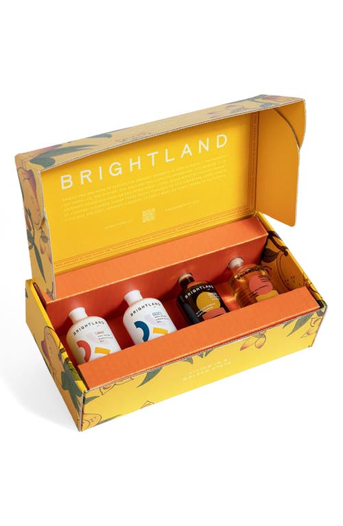 Brightland Set of 4 The Mini Essentials in Multi at Nordstrom