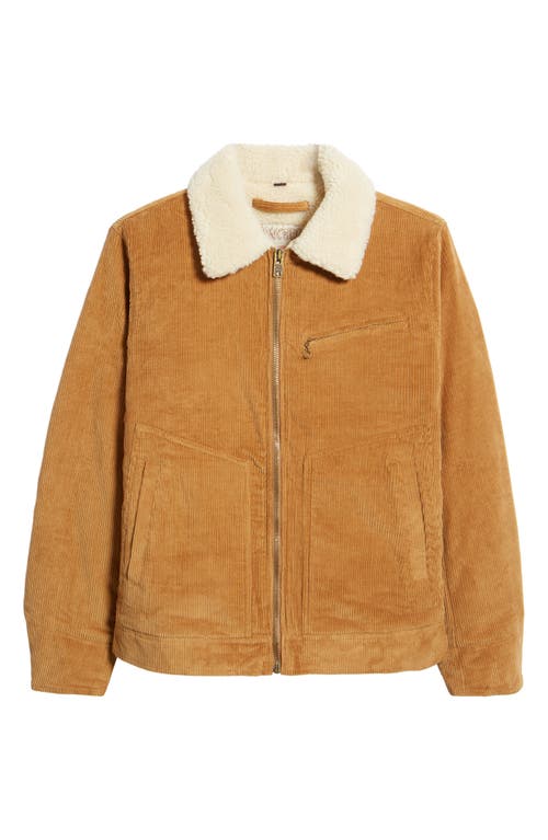 Schott NYC Men's Corduroy Mechanic Jacket in Tobacco at Nordstrom, Size Xx-Large