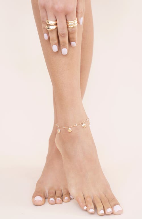 Ettika Scallop Shell Charm Anklet In Gold