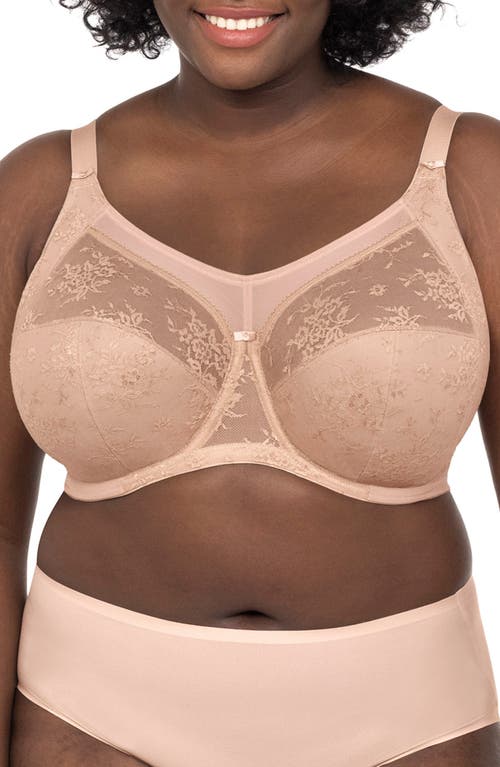 Verity Underwire Full Figure Bra in Fawn