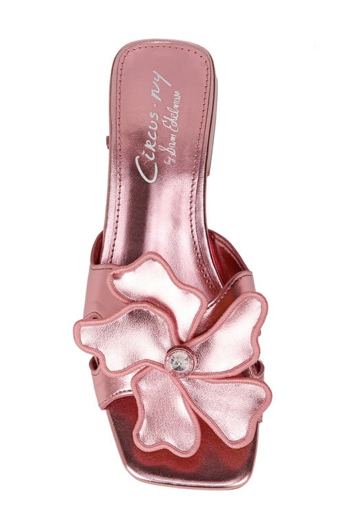 Shop Circus Ny By Sam Edelman Jolie Sandal In Pink Sorbet